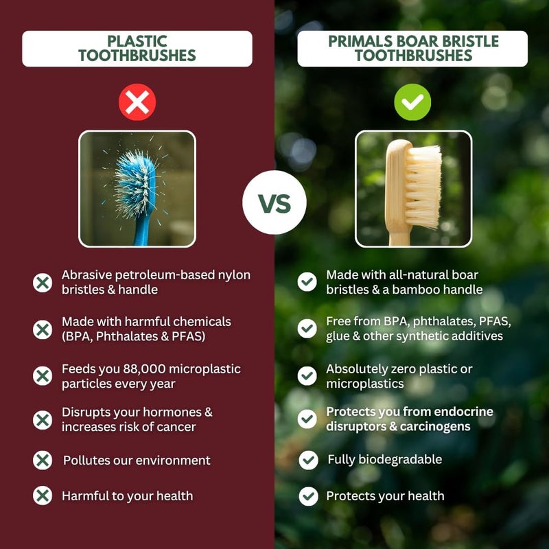 PRIMALS Boar Bristle & Bamboo Toothbrush (4-Pack) - Premium Boar Bristles - Fully Biodegradable - Plastic & Nylon Free - Quick Dry Design - Image 5